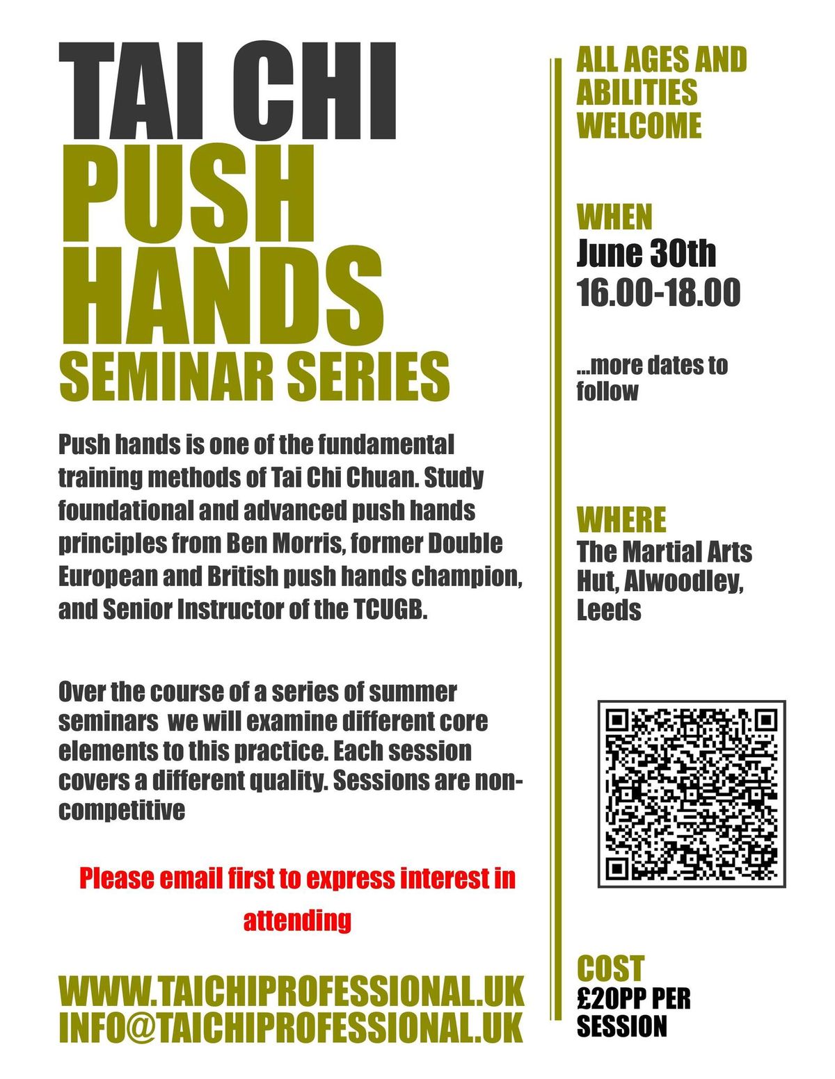 Tai Chi Push Hands Seminar Series