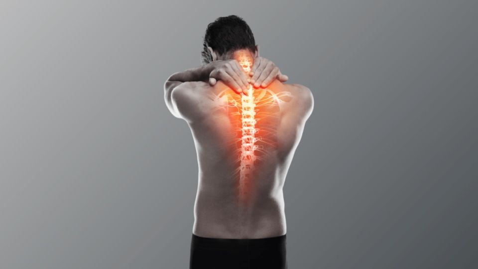 TE\u010cAJ ZDRAVA HRBTENICA \u2013 korekcija hrbtenice