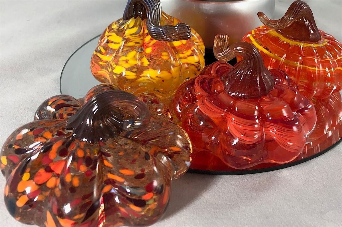 Pumpkinpalooza! All colors!  It's pumpkin season and pumpkin patch time
