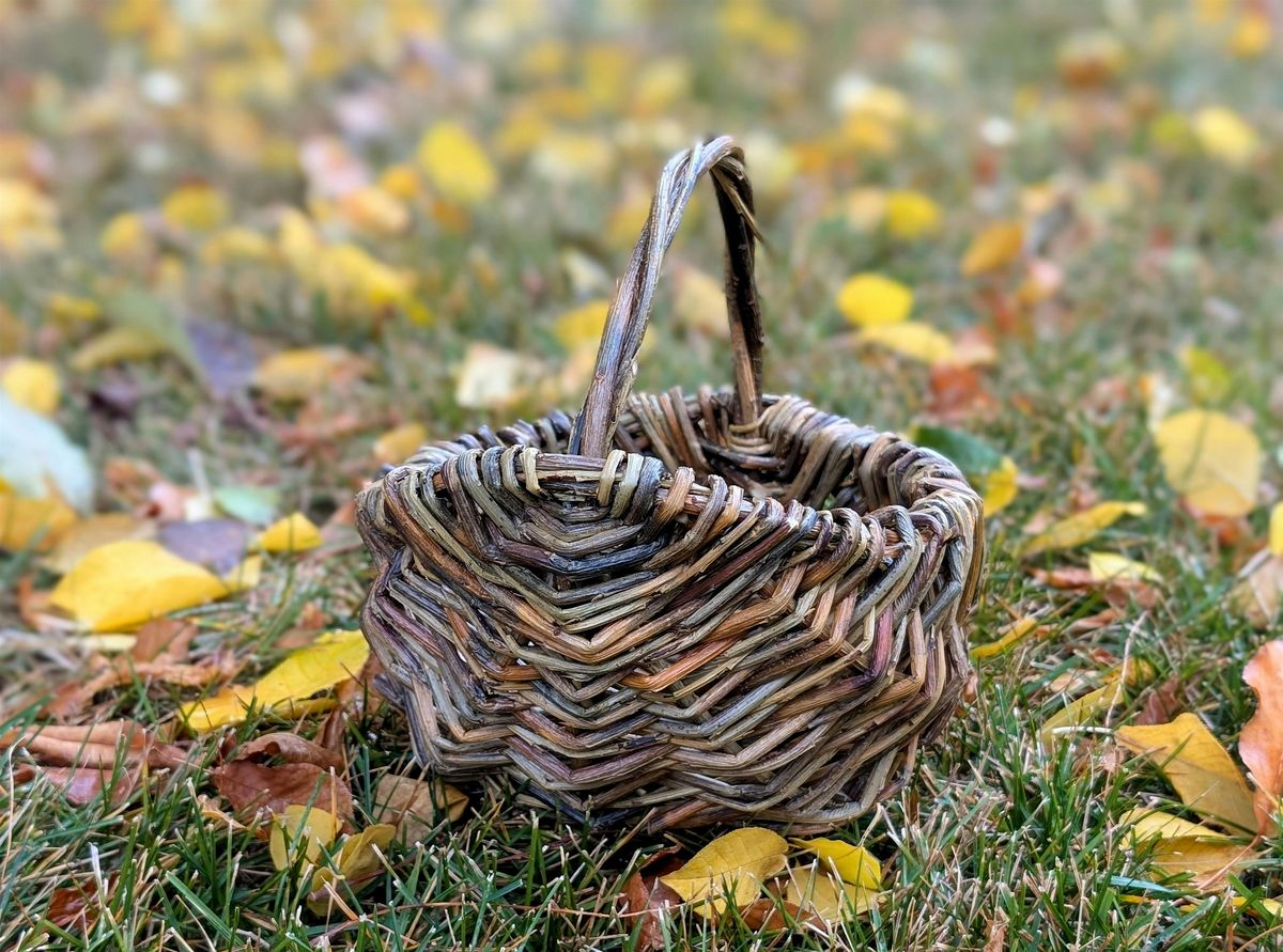 Willow Melon Basket
