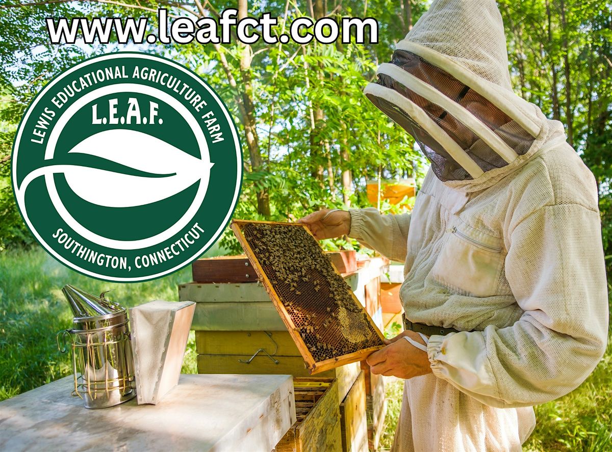Everything you need to know about beekeeping and honey production in CT