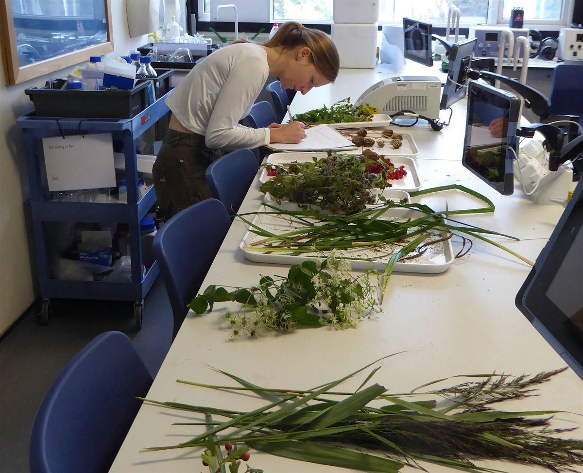 Botany Evening Classes - Canterbury