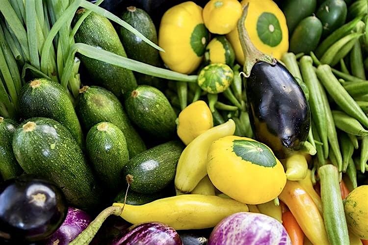 Troubleshooting Gardening Problems