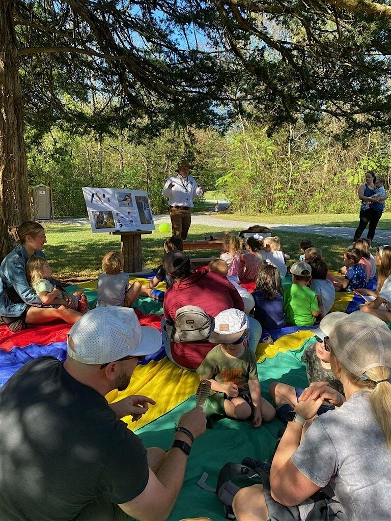 Feathers and Fun: A Family-Friendly Birding Experience