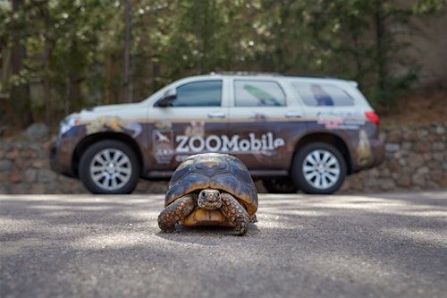 Mobile Zoo Program