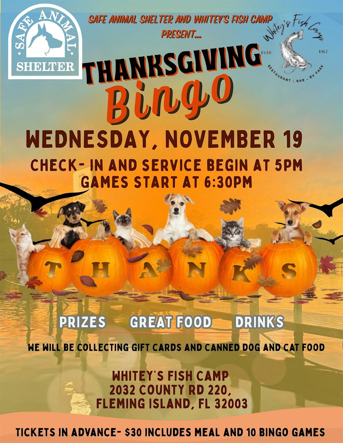 Safe Animal Shelter- Thanksgiving Bingo