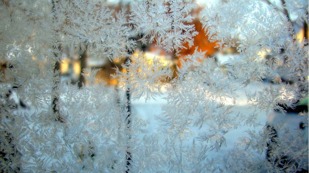 Winter\u2019s Embrace: Sound Bath and Community Meal