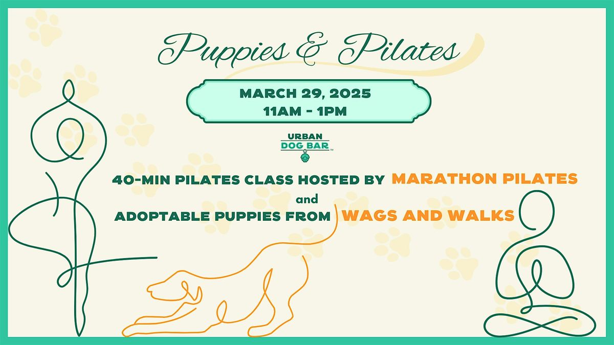 Pilates with Puppies!