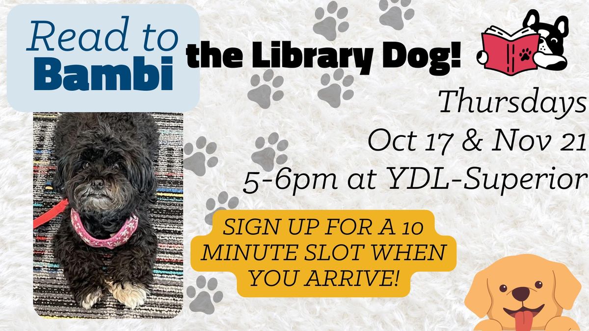 Read to Bambi the Library Dog