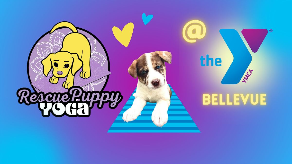 Rescue Puppy Yoga - Bellevue Family YMCA