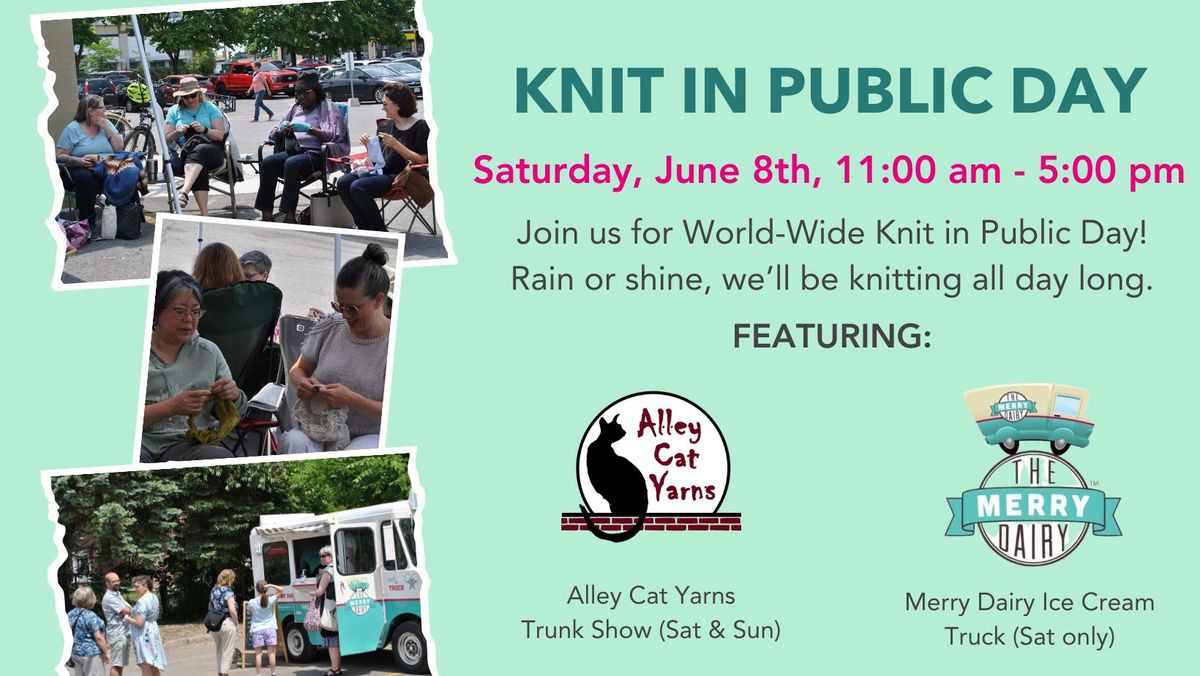 Knit in Public Day + Alley Cat Yarn Trunk Show