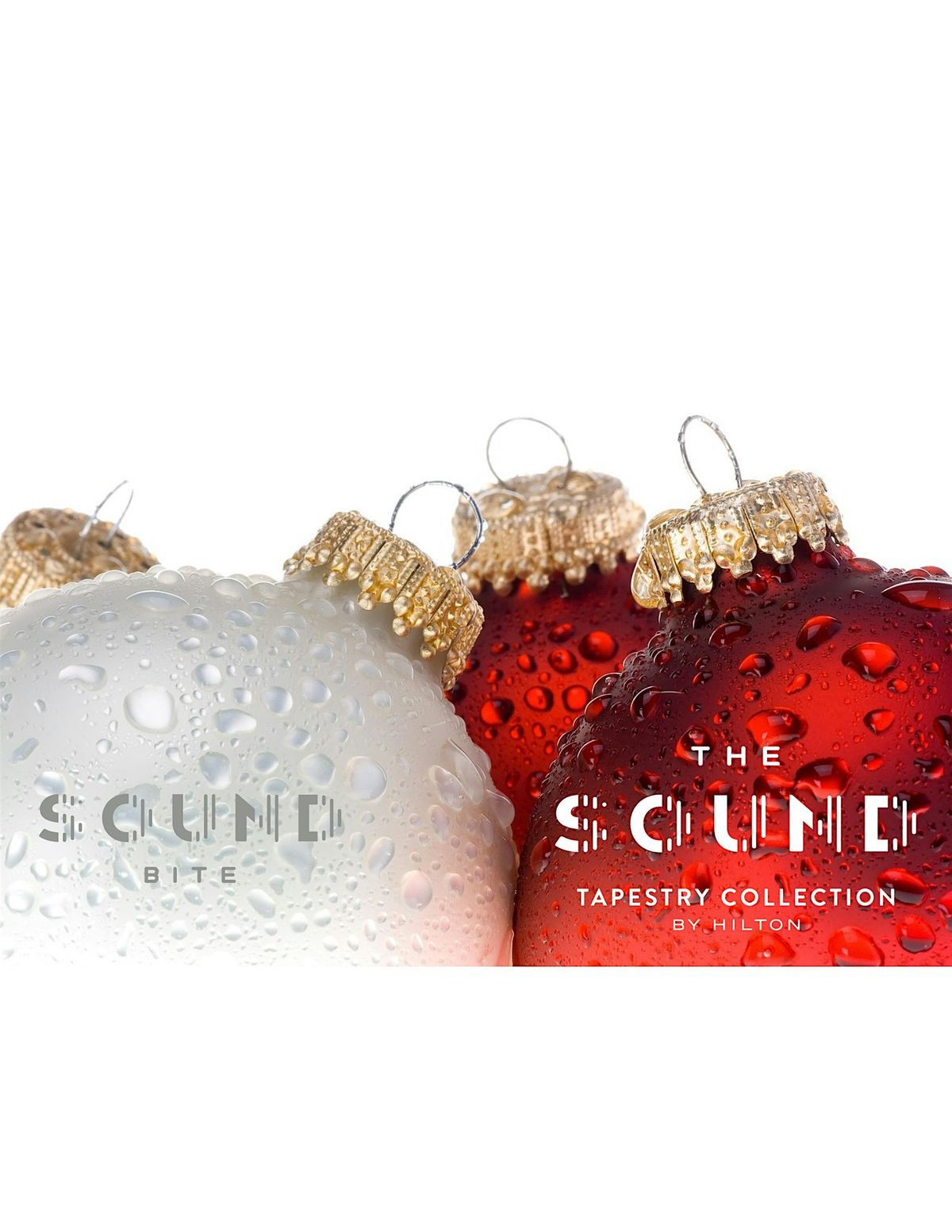 Holiday Showcase at The Sound Hotel