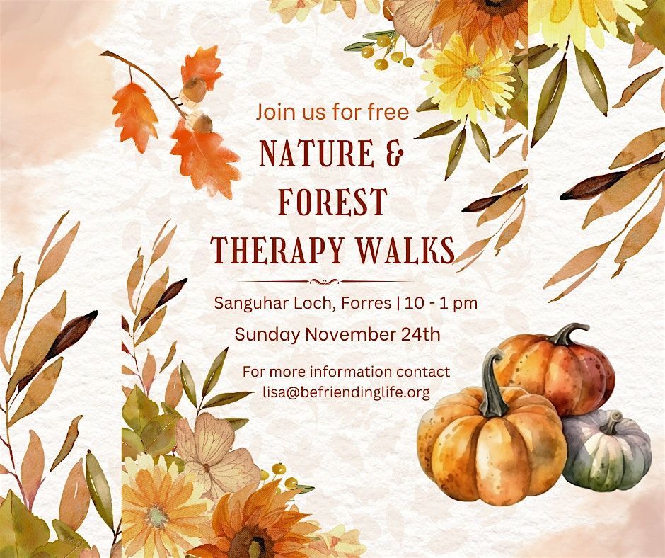 Nature & Forest Therapy Walks