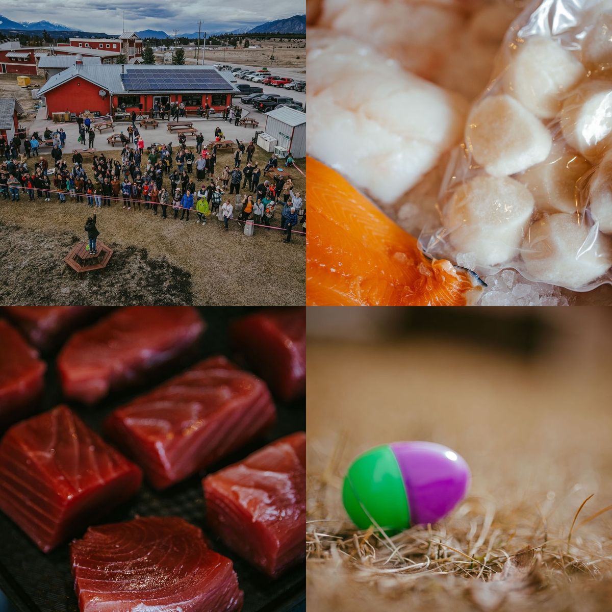 Adult Easter Egg Hunt and Seafood Festival 