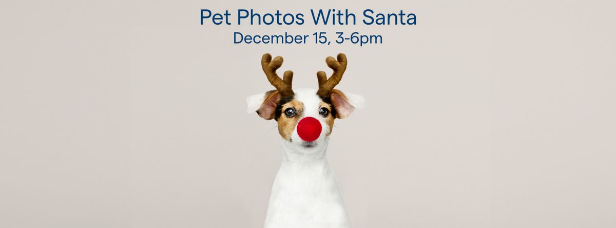 Festive Family & Furry Friends Photo Day