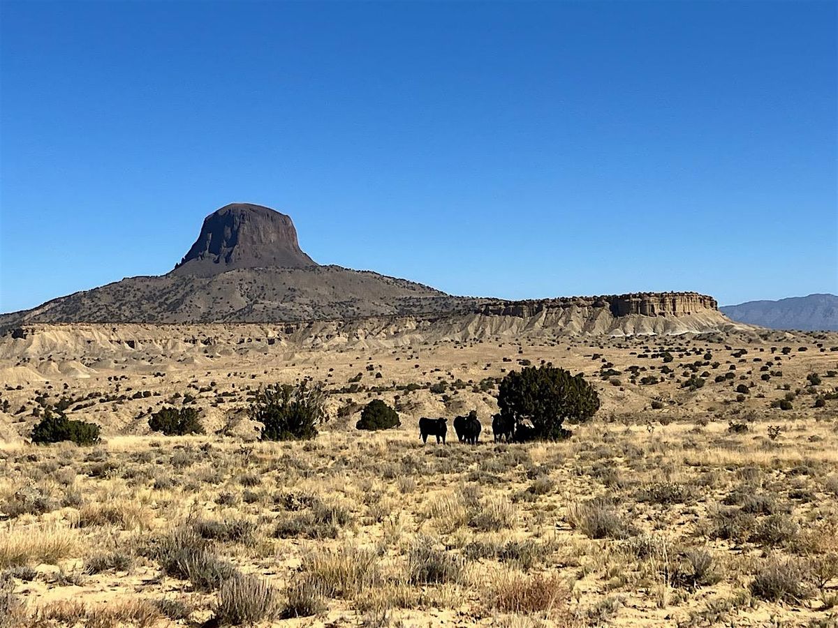 Geology of New Mexico Landscapes