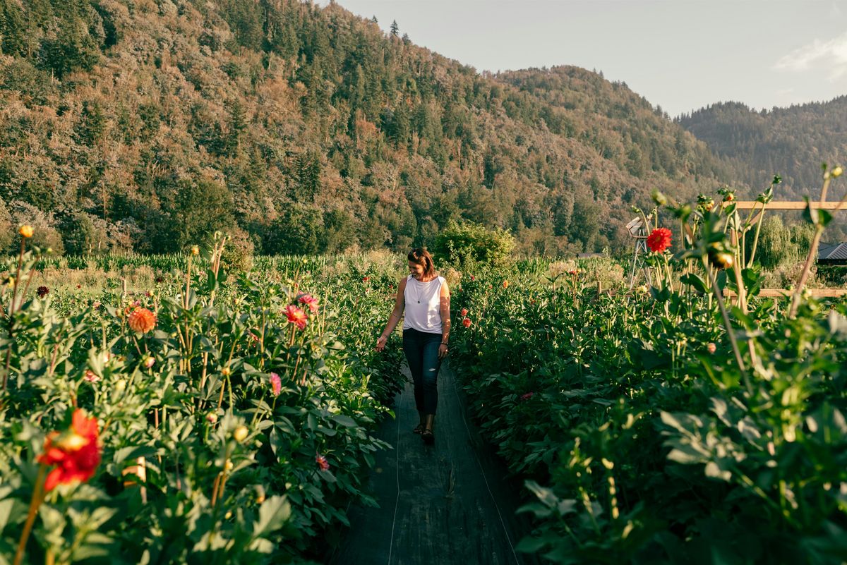 Petals and Poses: Yoga Amongst the Flowers and U-Pick Experience