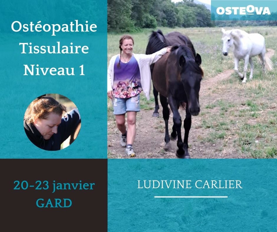 Ost\u00e9opathie Tissulaire Inspir\u00e9 de P. Tricot Niveau 1