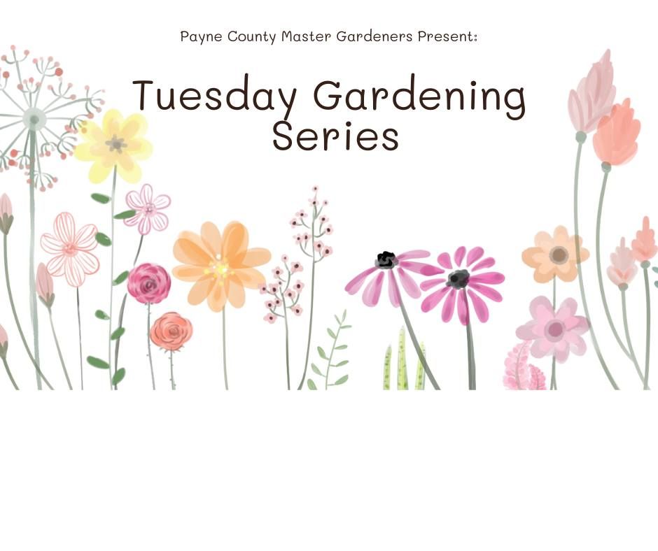 Tuesday Gardening Series - Food Preservation