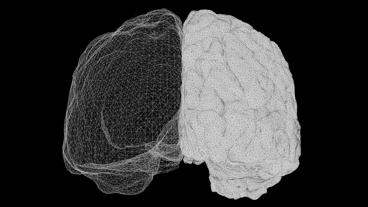 The Bilingual Brain: Unlocking Nature\u2019s Superpower