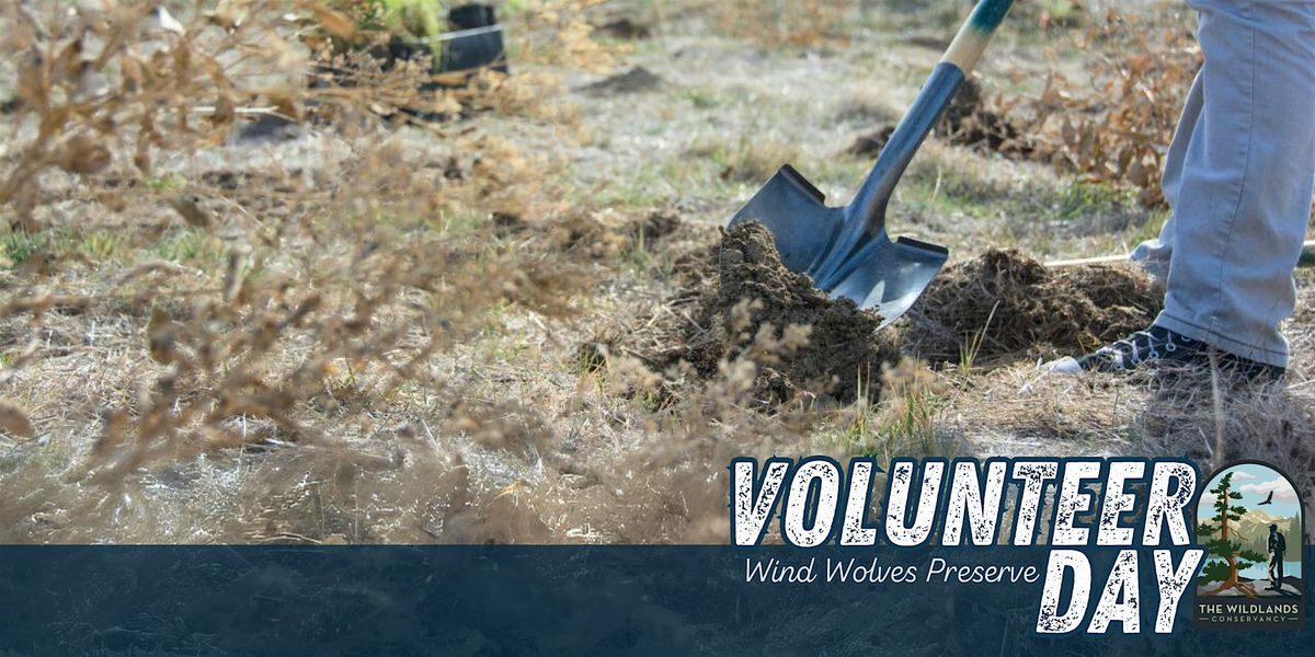 Volunteer Day: Trail Work -  Wind Wolves Preserve