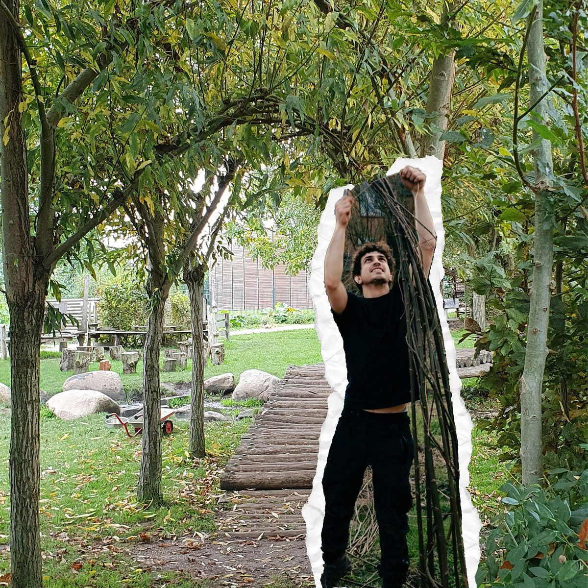 Where there is a Willow, there is a way