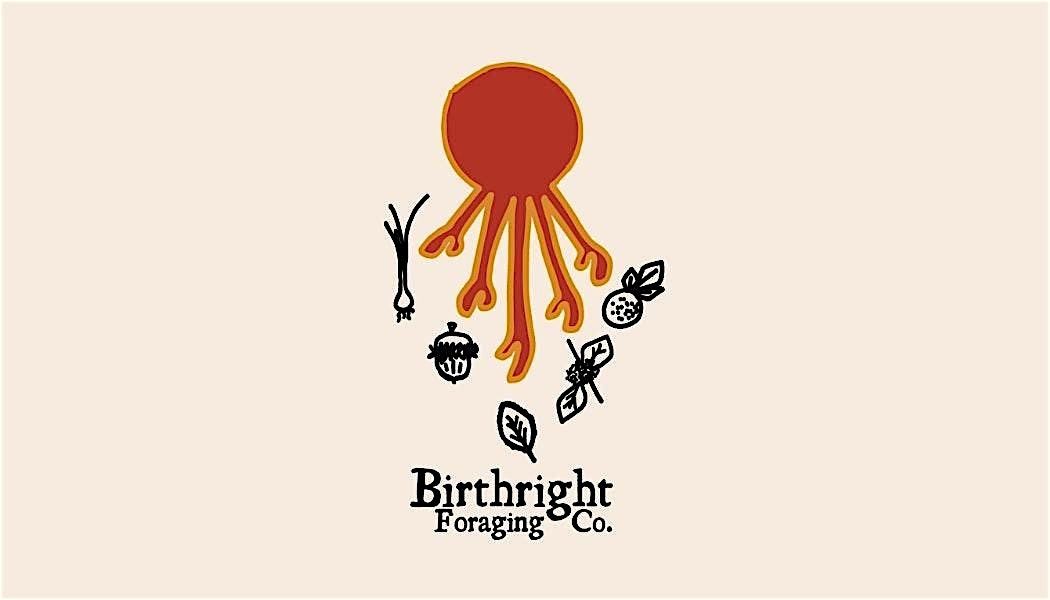 Summer Foraging Walk - Birthright Foraging Co.