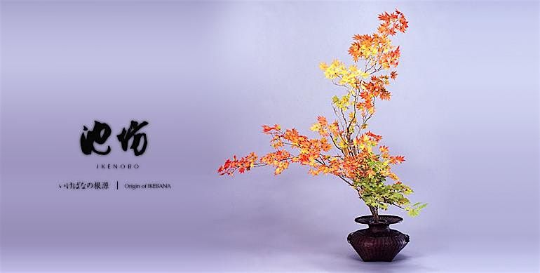 Invitation to Ikenobo Ikebana - Continuing Classes in Boulder CO (Oct)