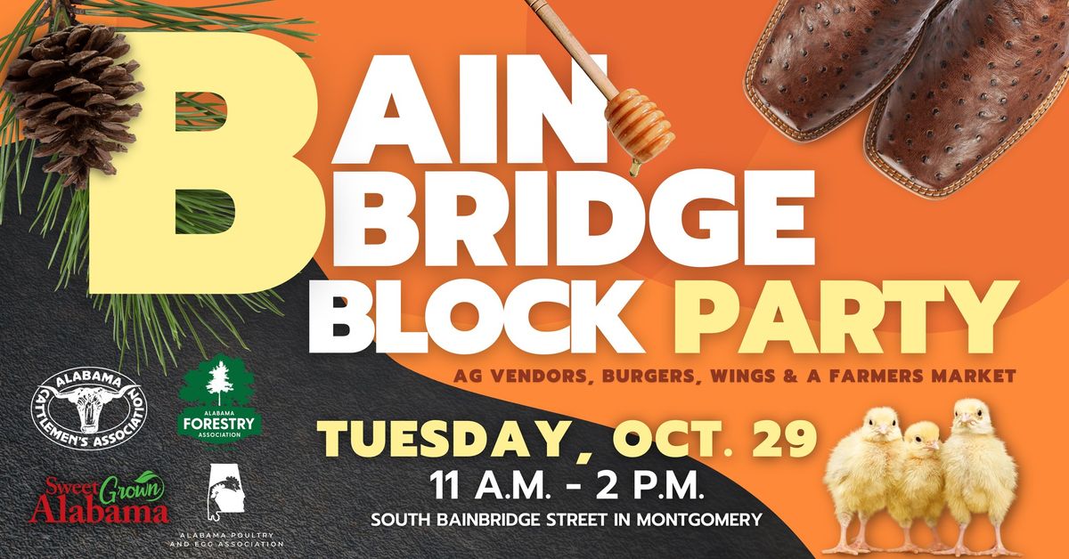 Bainbridge Block Party