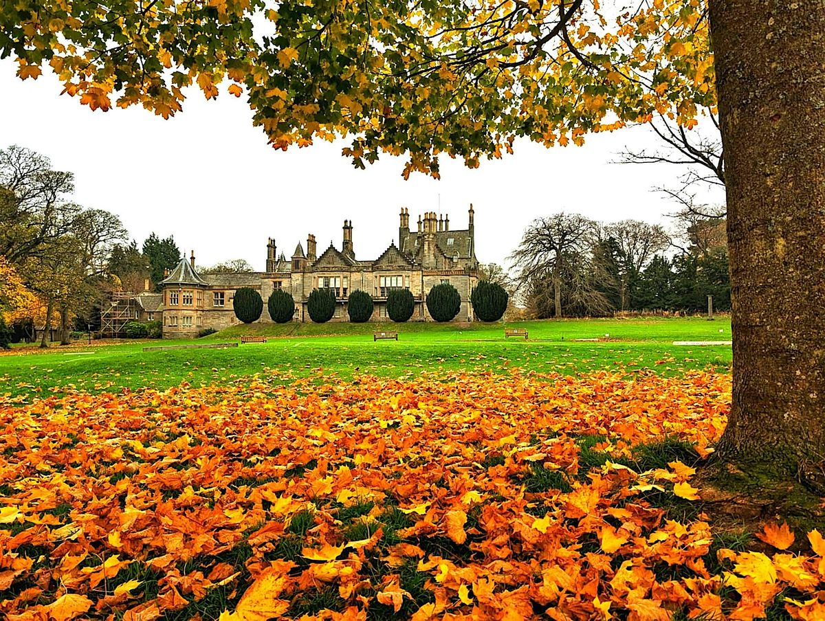 Forest Bathing at Lauriston Castle Gardens