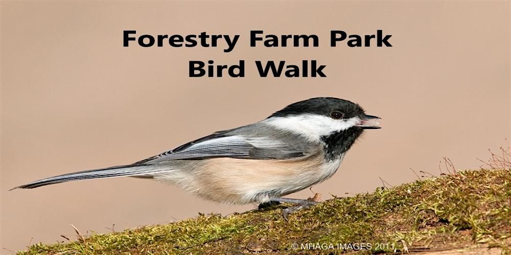 Forestry Farm Park Bird Walk