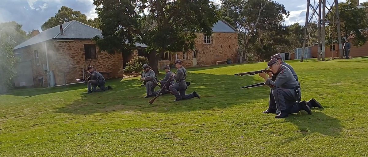 Volunteers Musketry and Artillery Demonstration