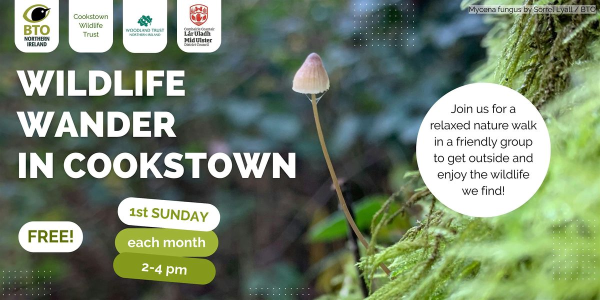 Wildlife Wander in Cookstown