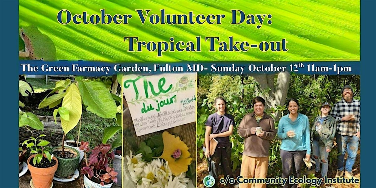October Volunteer Day:Tropical Takeout