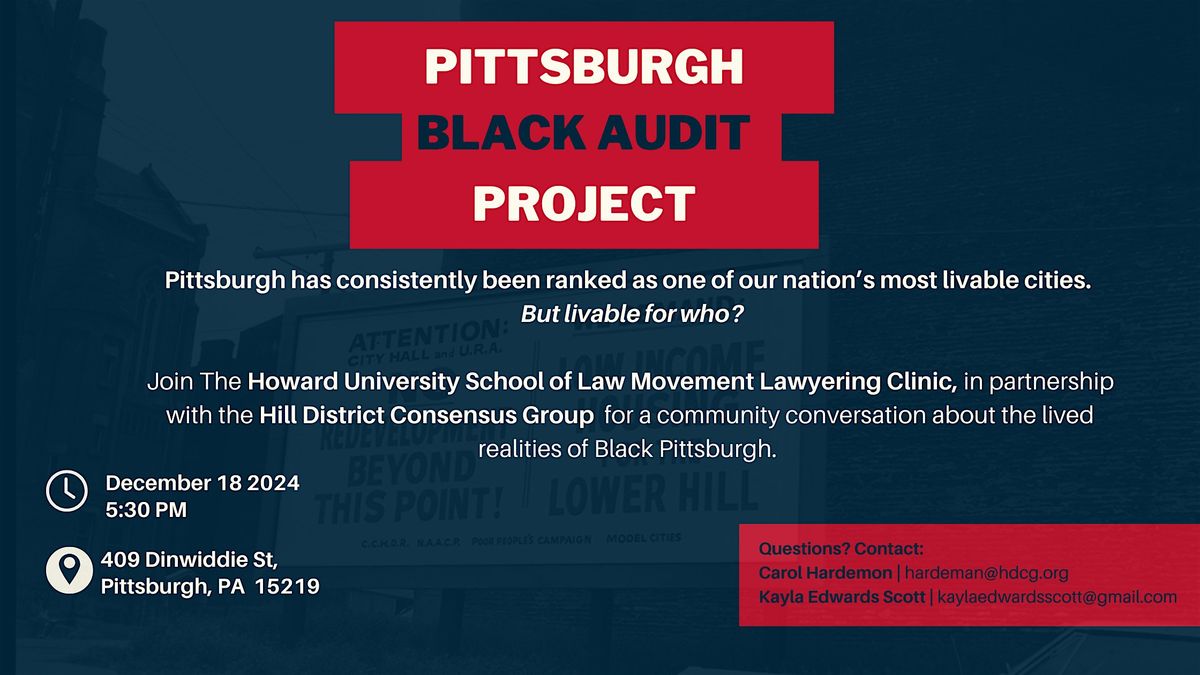 Black Audit Project