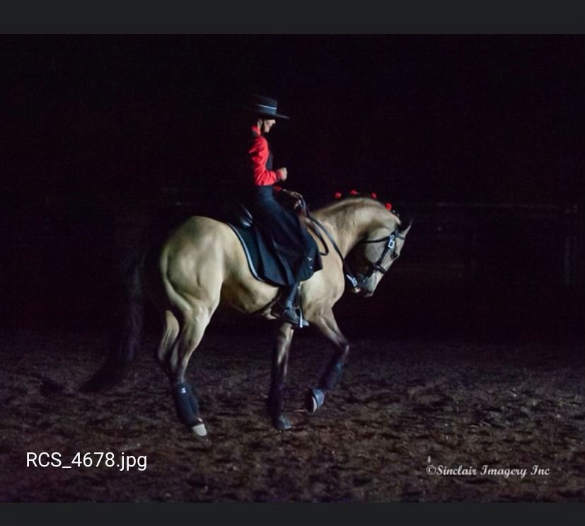 Jill Barron Horsemanship Clinic