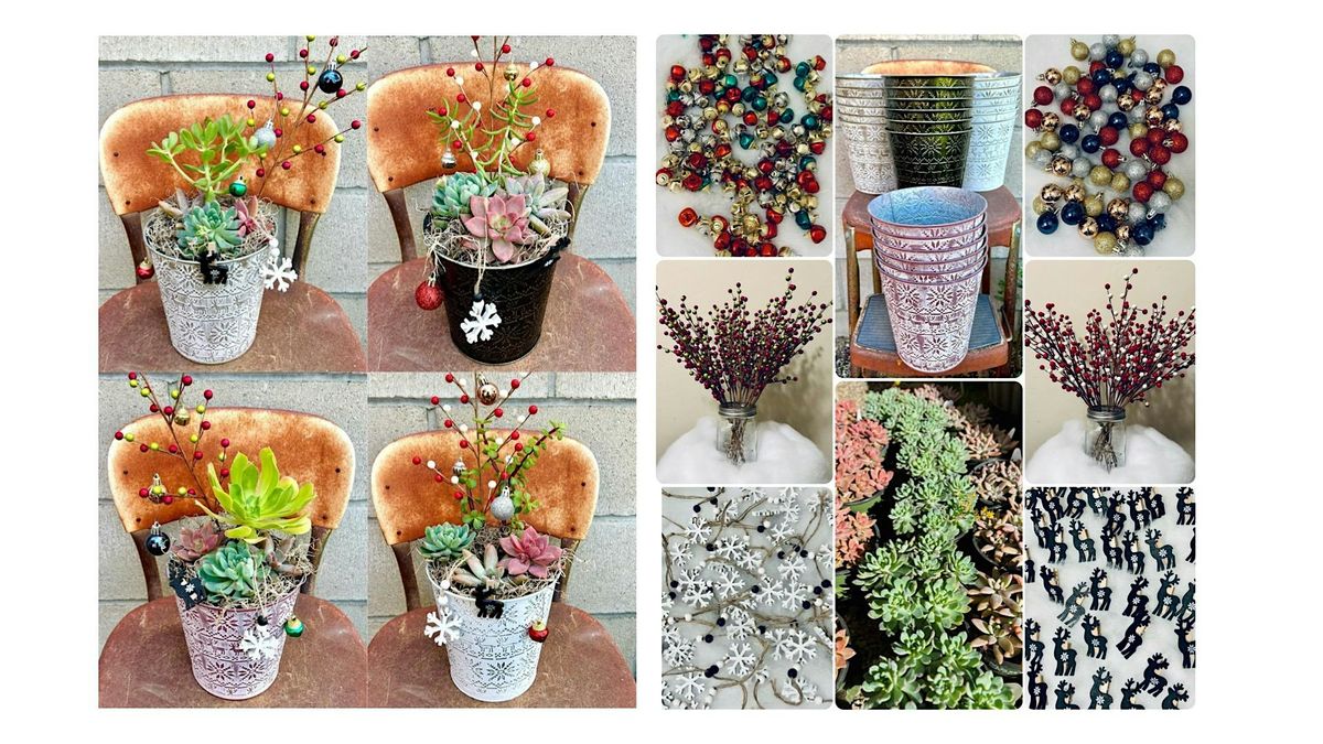 Christmas Succulent Workshop