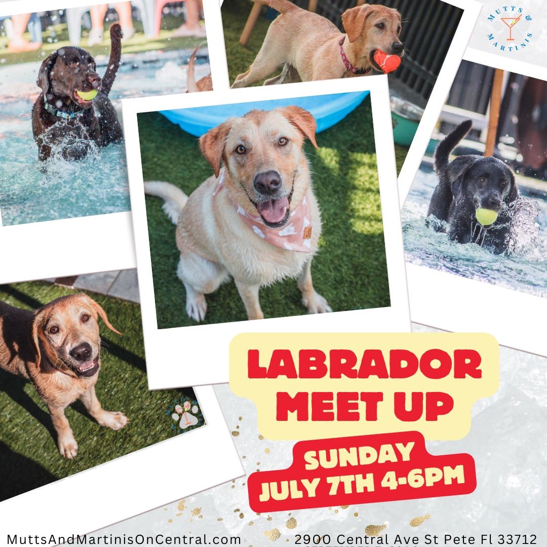 Labrador Meet Up