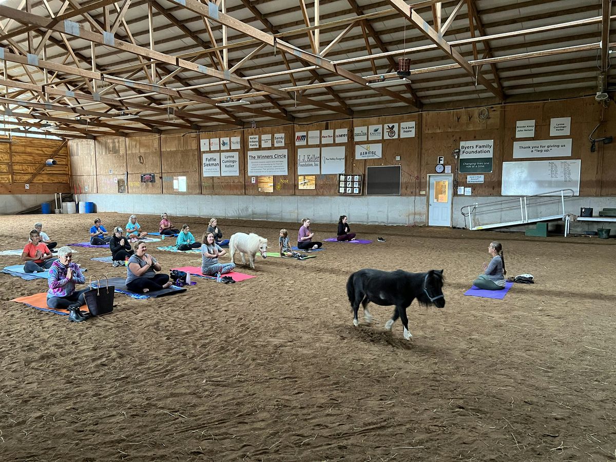 Horse Yoga