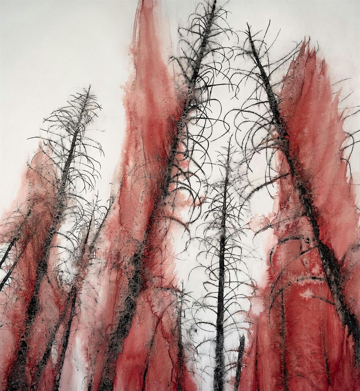 Catherine Chalmers - An Artist's Journey Into the Wild