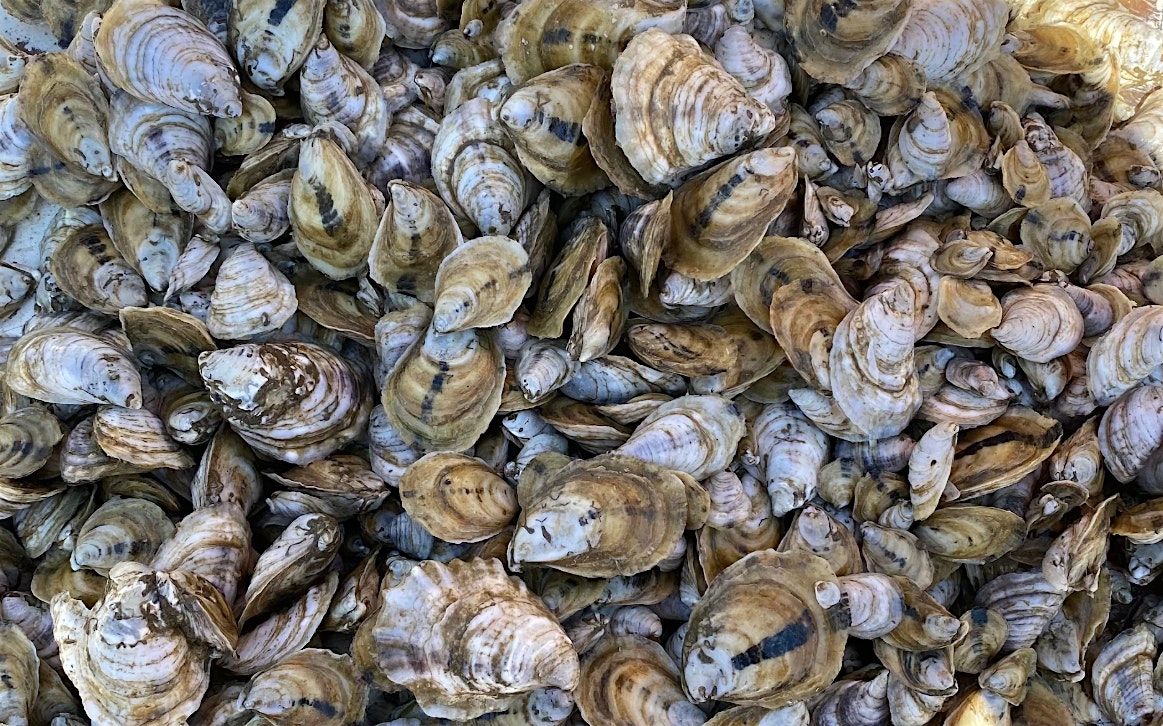 Lloyd Daw Team Oyster Roast