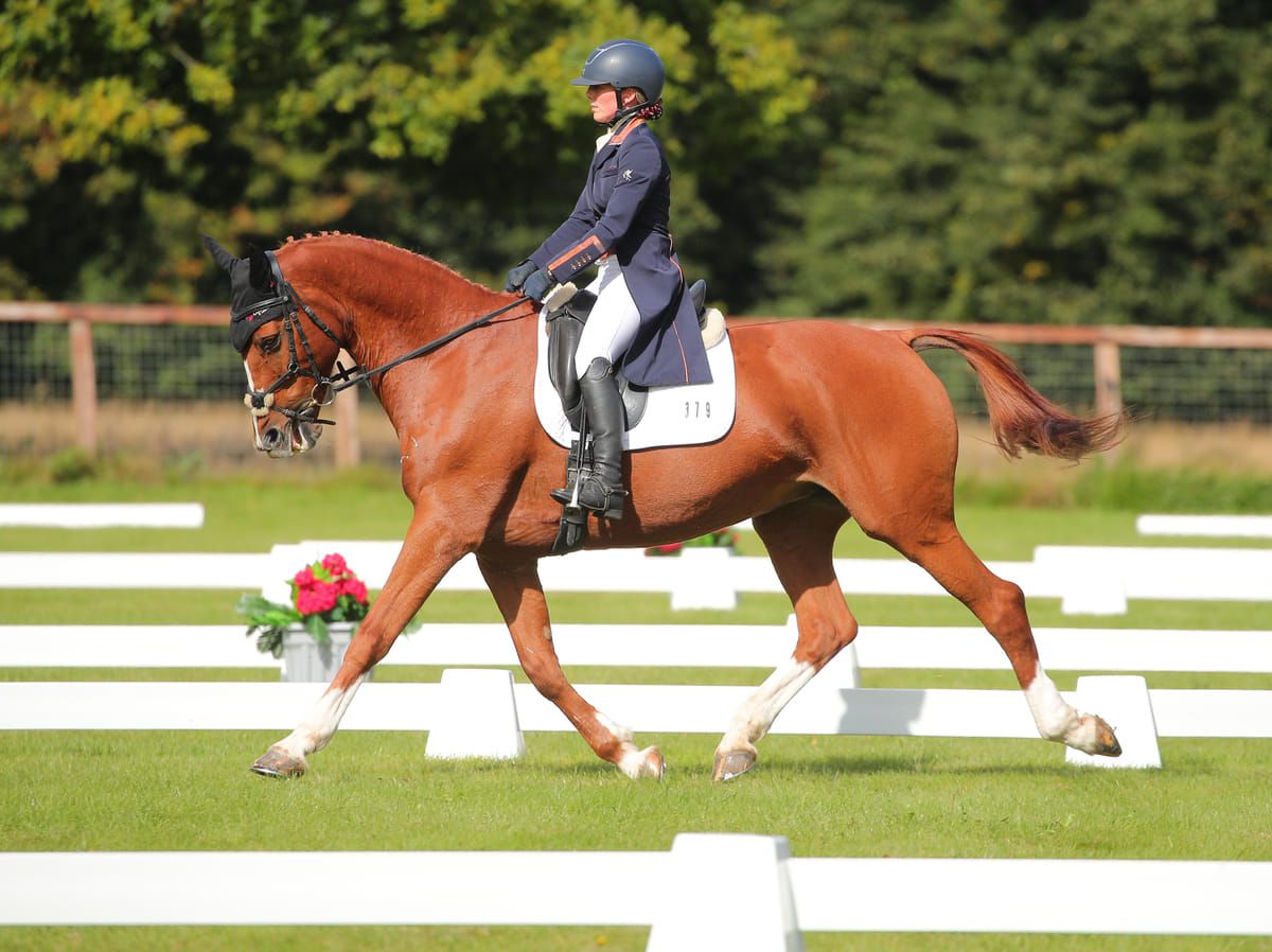 Dressage training & test riding clinic with HMS eventing