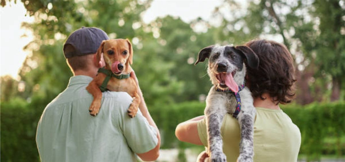 Pet Photography Photoshoot with Scenic San Francisco Views