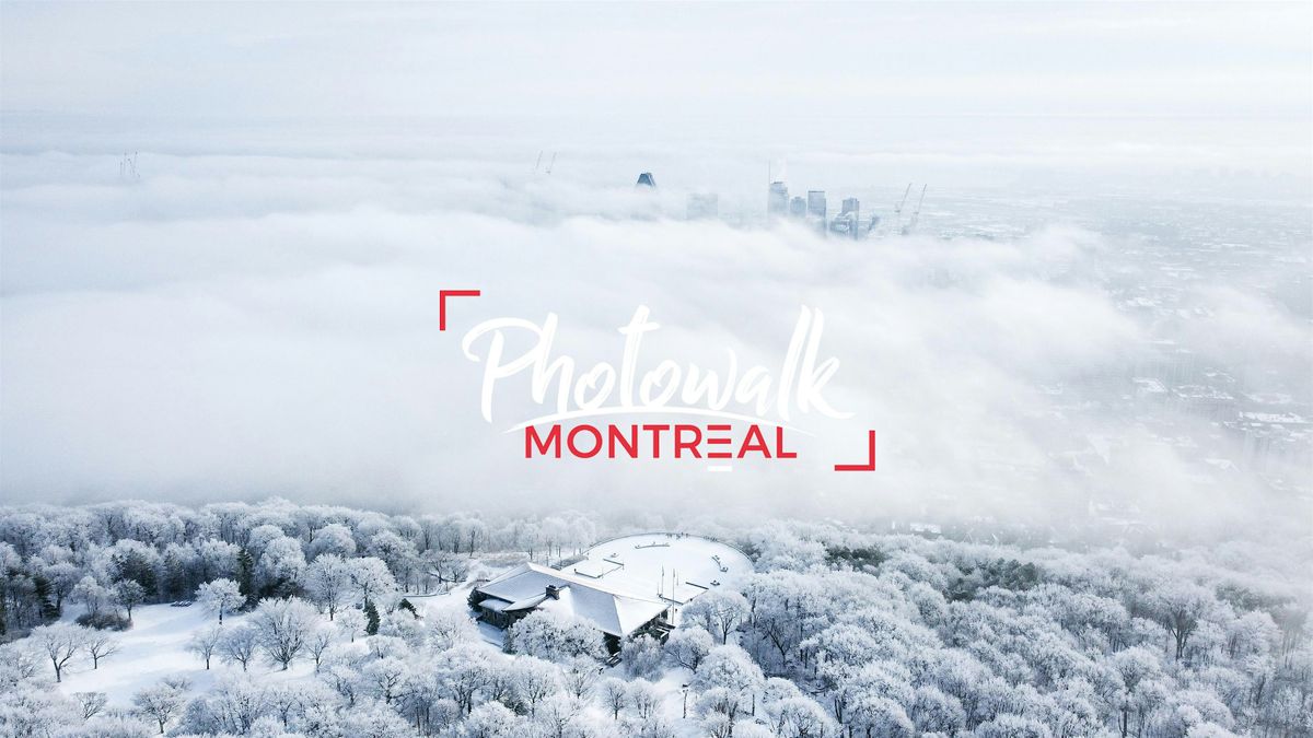 Photowalk Montr\u00e9al - F\u00e9vrier 2025