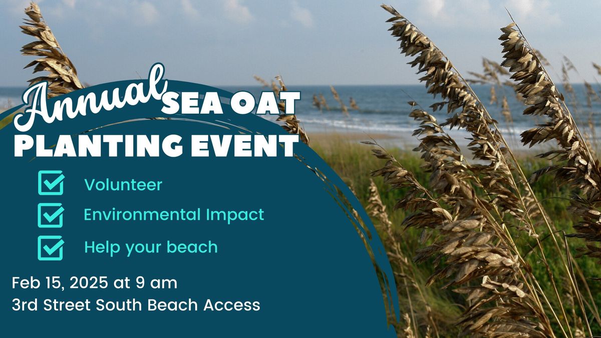 Sea Oat Planting Cocoa Beach