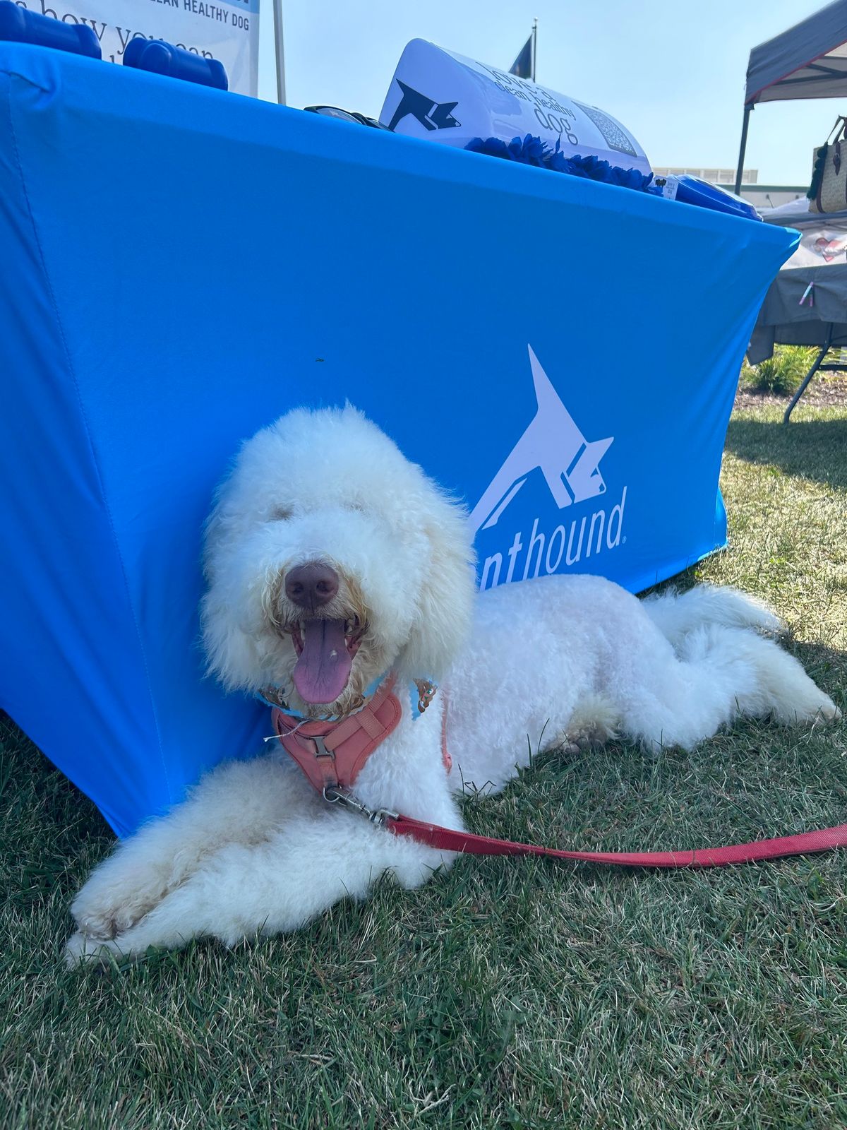 Scenthound @ Plainfield Farmers Market