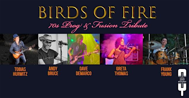 Local Artist Spotlight: Birds of Fire