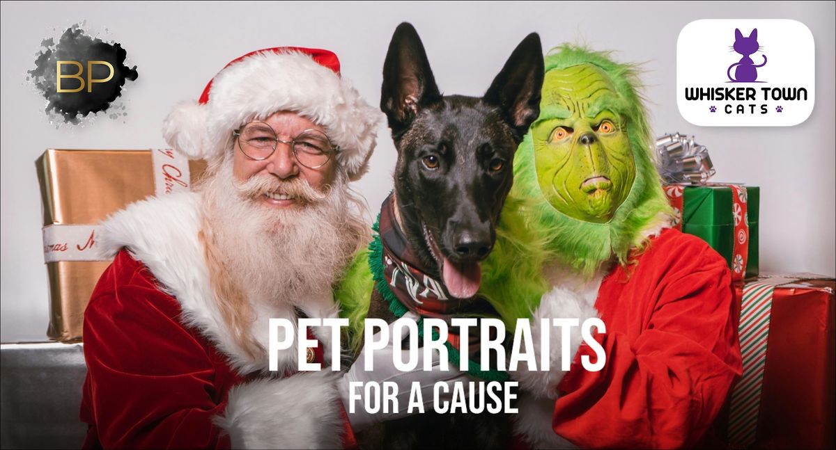 Pet Portraits for a Cause (Whisker Town Cats)