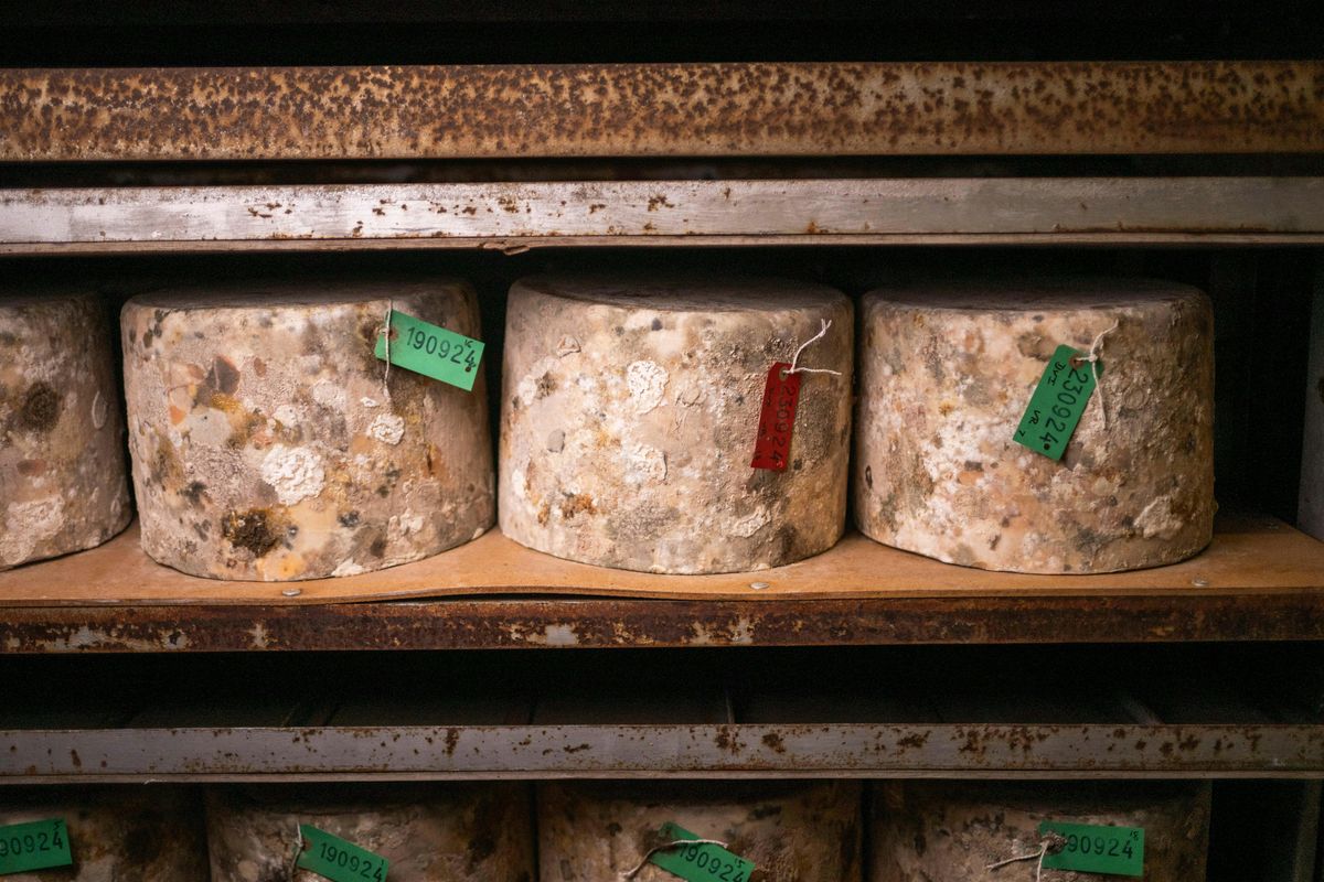 Quicke's Cheese Tour 15th May