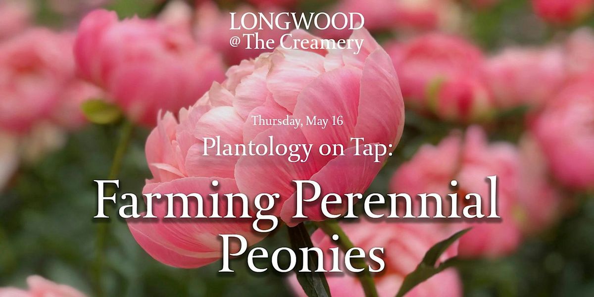 Longwood at The Creamery - Plantology on Tap - Farming Perennial Peonies
